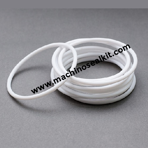 PTFE O Ring